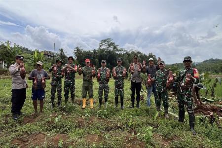 Dandim 0702Purbalingga Motivasi Petani Talas Desa Bantarbarang