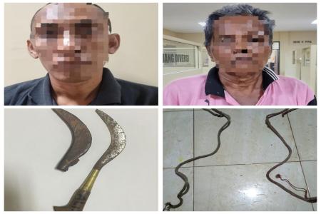 CURI DUA EKOR SAPI DI KEC. BATANG-