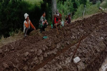 Turun ke Sawah Babinsa Koramil 18Pager