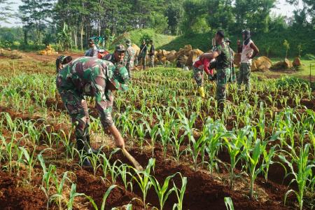 SULAP LAHAN TIDUR UNTUK KETAHANAN 