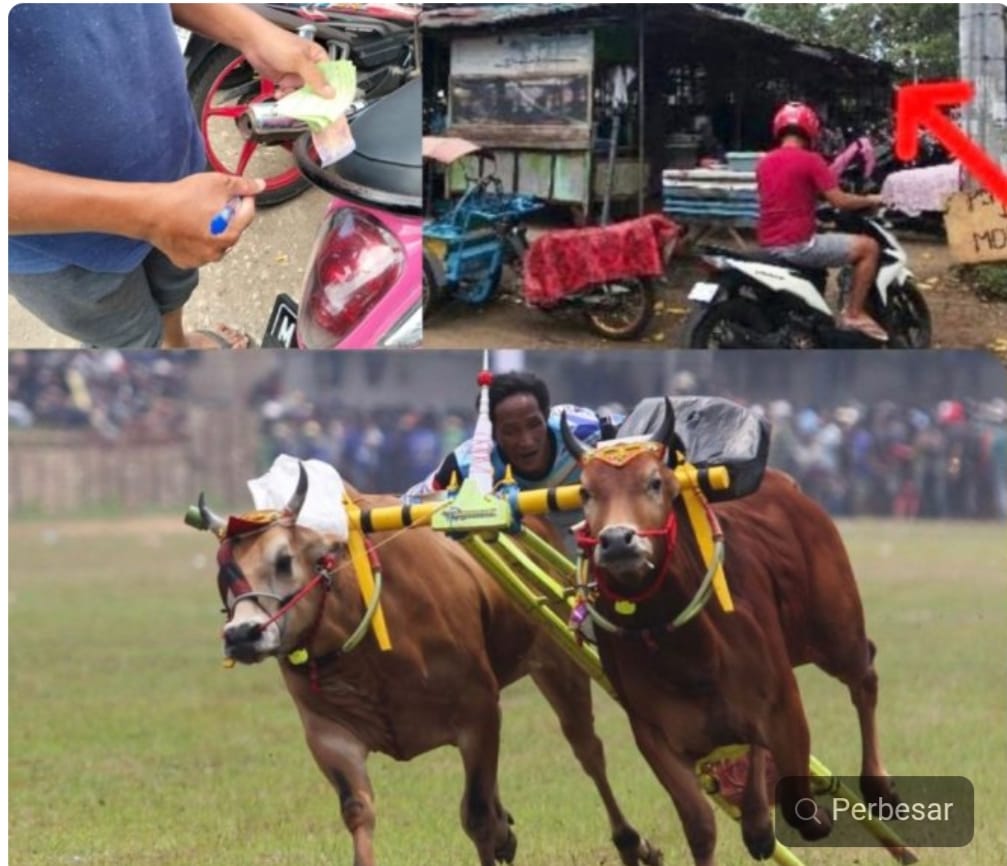 Aksi Pemalakan Parkir Nodai Suksesnya Festival Calender Event Karapan Sapi 2025