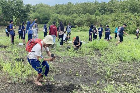 Hijaukan Hutan Perhutani dan M
